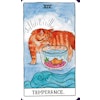 Cat Tarot (Engelsk)