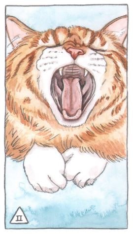 Cat Tarot (Engelsk)