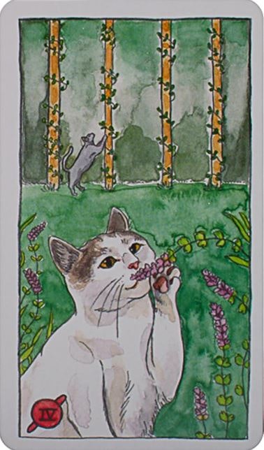 Cat Tarot (Engelsk)