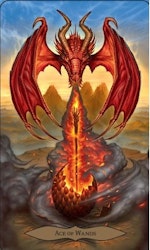 Tarot of Dragons (Engelsk) Nyhet!