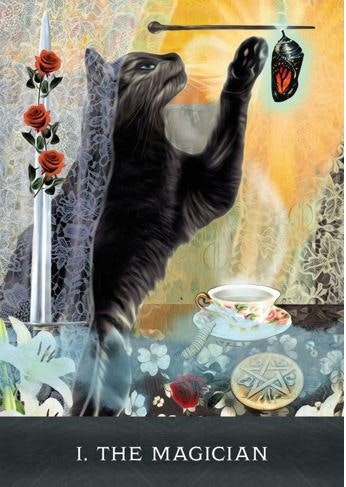 Grimalkin's Curious Cats Tarot (Engelsk) NYHET