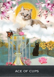 Grimalkin's Curious Cats Tarot (Engelsk) NYHET