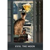 Grimalkin's Curious Cats Tarot (Engelsk) NYHET