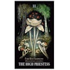 The Mushroom Tarot Deck (Engelsk)