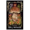 The Mushroom Tarot Deck (Engelsk)