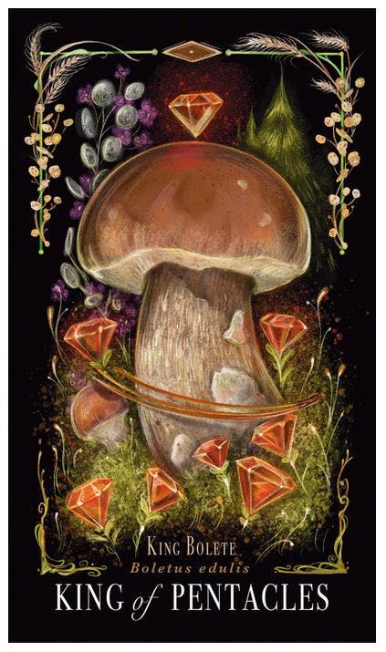 The Mushroom Tarot Deck (Engelsk) NYHET