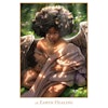 Lightworker Oracle: Fierce Love 11.11 Edition - NYHET! Inkommer v19
