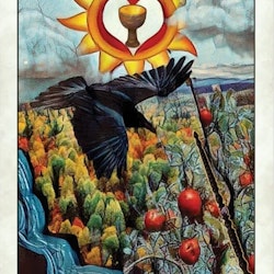 Crow Tarot Pocket Edition - NYHET!