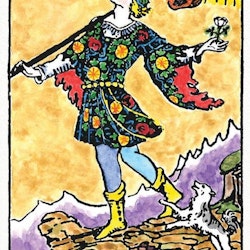 Weiser tarot (svensk utgåva) - NYHET!