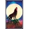 Wild Dreams Animal Oracle - NYHET! Inkommer om 2-4v