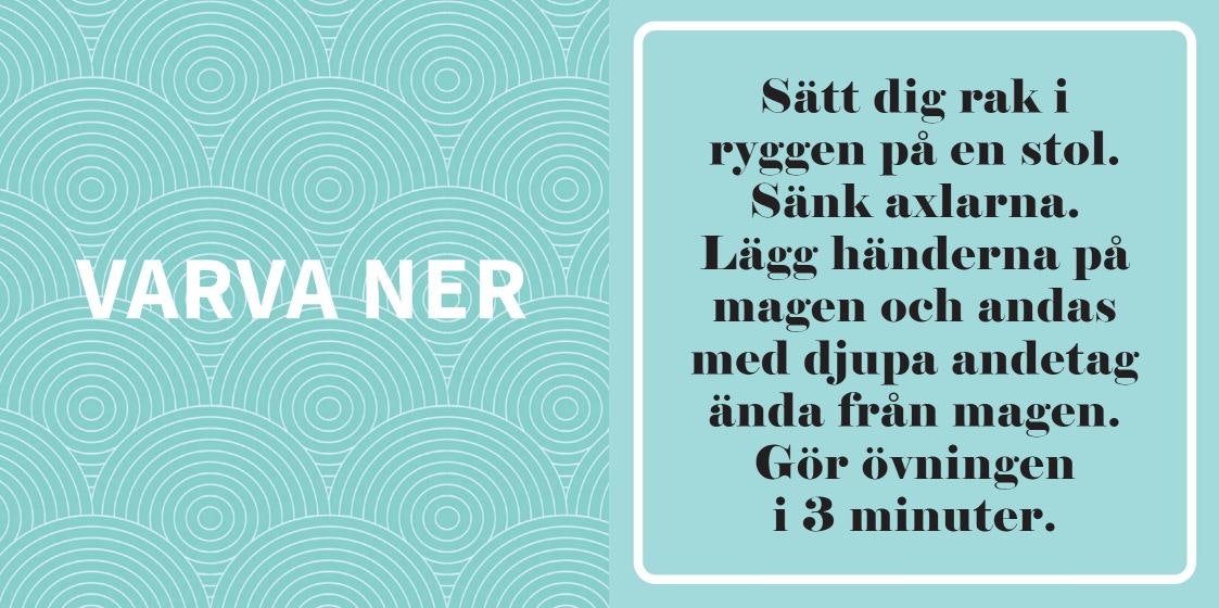 Må bra : varva ned (Svensk) - NYHET!