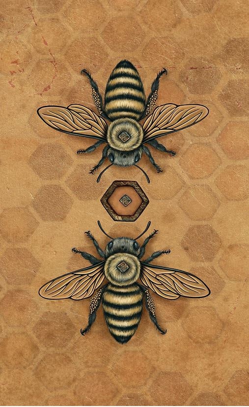 Bee Tarot  (Engelsk) NYHET! Inkommer 2-4v