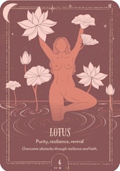 Earth Song Oracle (Engelsk) NYHET!