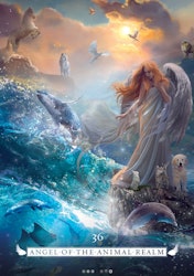 Angel Oracle (Engelsk) NYHET!