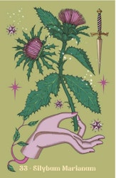 Herbarium Oracle (Engelsk)