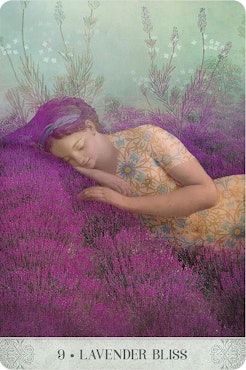 Botanical Dreams Oracle (Engelsk) NYHET!