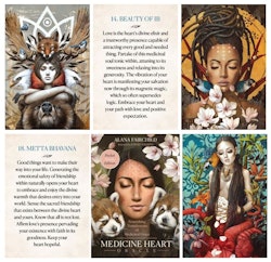 Medicine Heart Oracle Pocket Panda Edition NYHET!