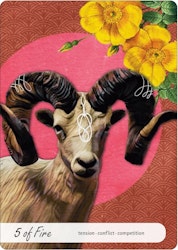Wise Earth Medicine Tarot (Engelsk) NYHET!