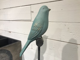 Sångfågel