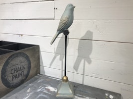 Sångfågel