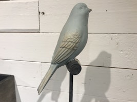 Sångfågel