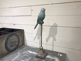 Sångfågel