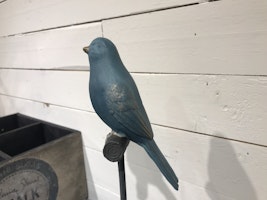 Sångfågel