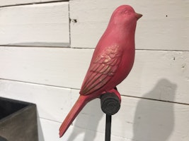Sångfågel