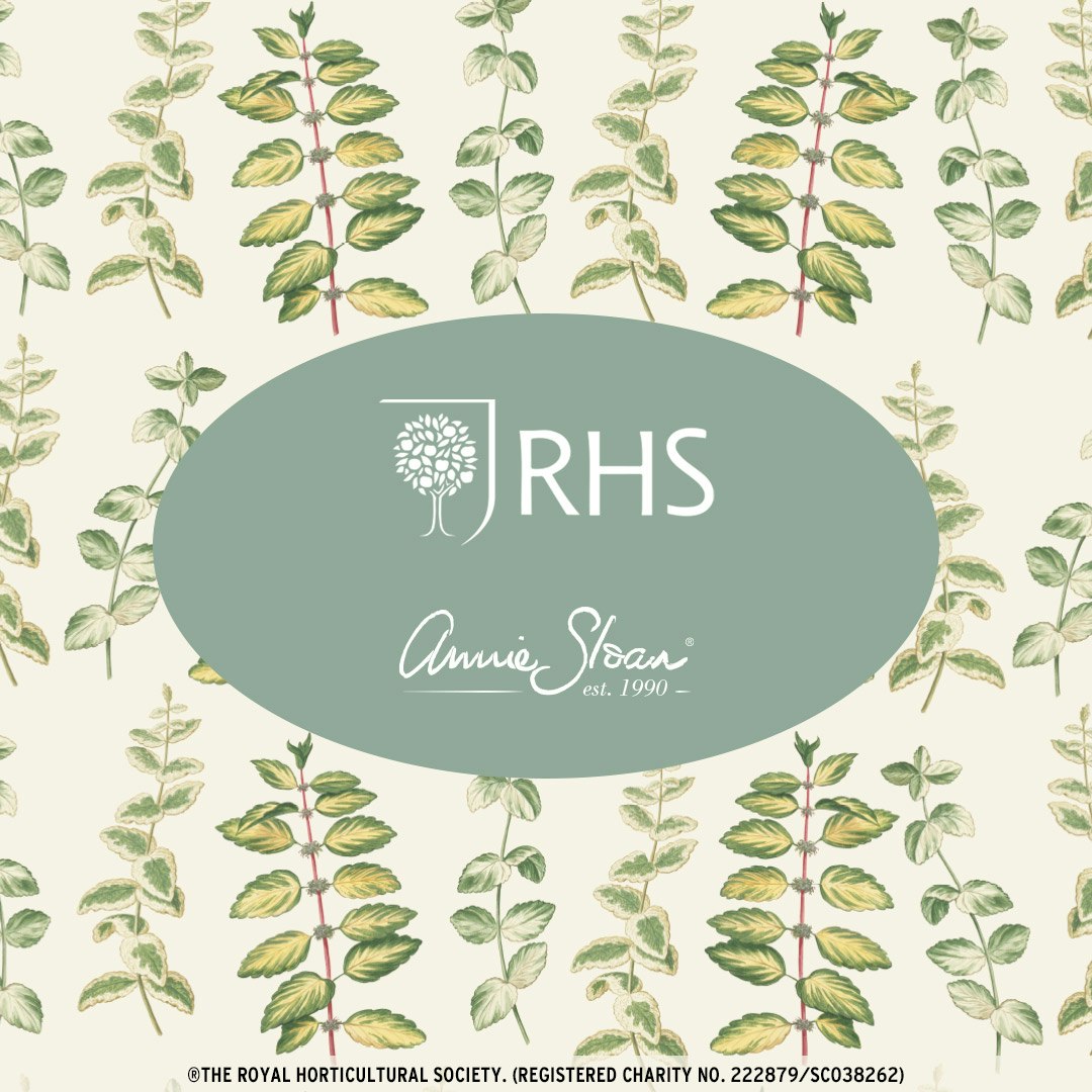 Annie Sloan Decoupagepapper Mint