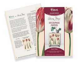 Decoupagepapper Tulips