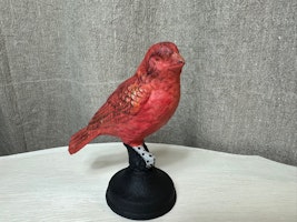 Gjutjärnsfågel 1