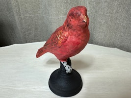 Gjutjärnsfågel 1