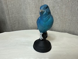 Gjutjärnsfågel 2