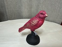 Gjutjärnsfågel 5