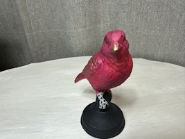 Gjutjärnsfågel 5