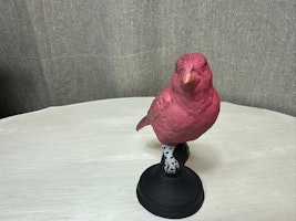 Gjutjärnsfågel 6