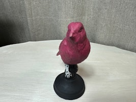 Gjutjärnsfågel 9