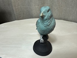 Gjutjärnsfågel 8
