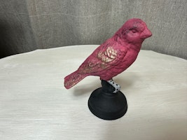 Gjutjärnsfågel 12