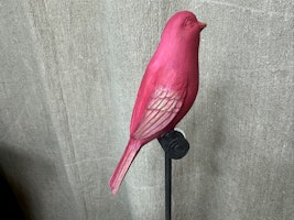 Sångfågel 2