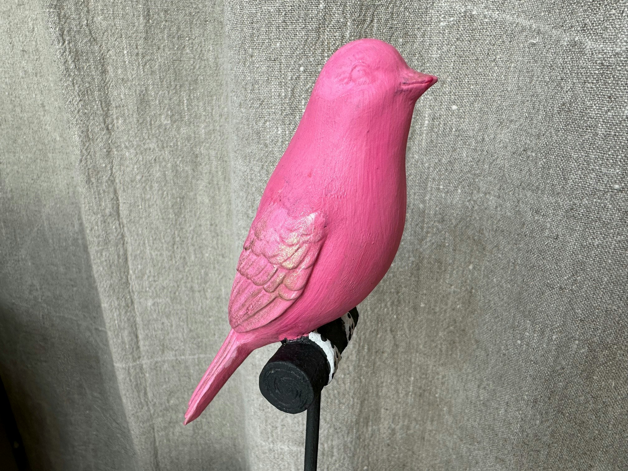 Sångfågel 6