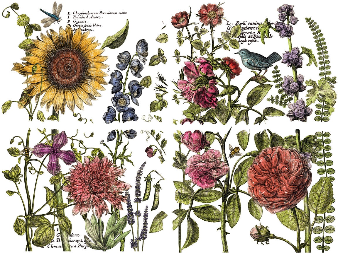 IOD Transfer Botanist's journal