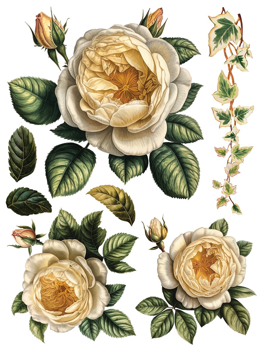 IOD Transfer Collage de fleurs