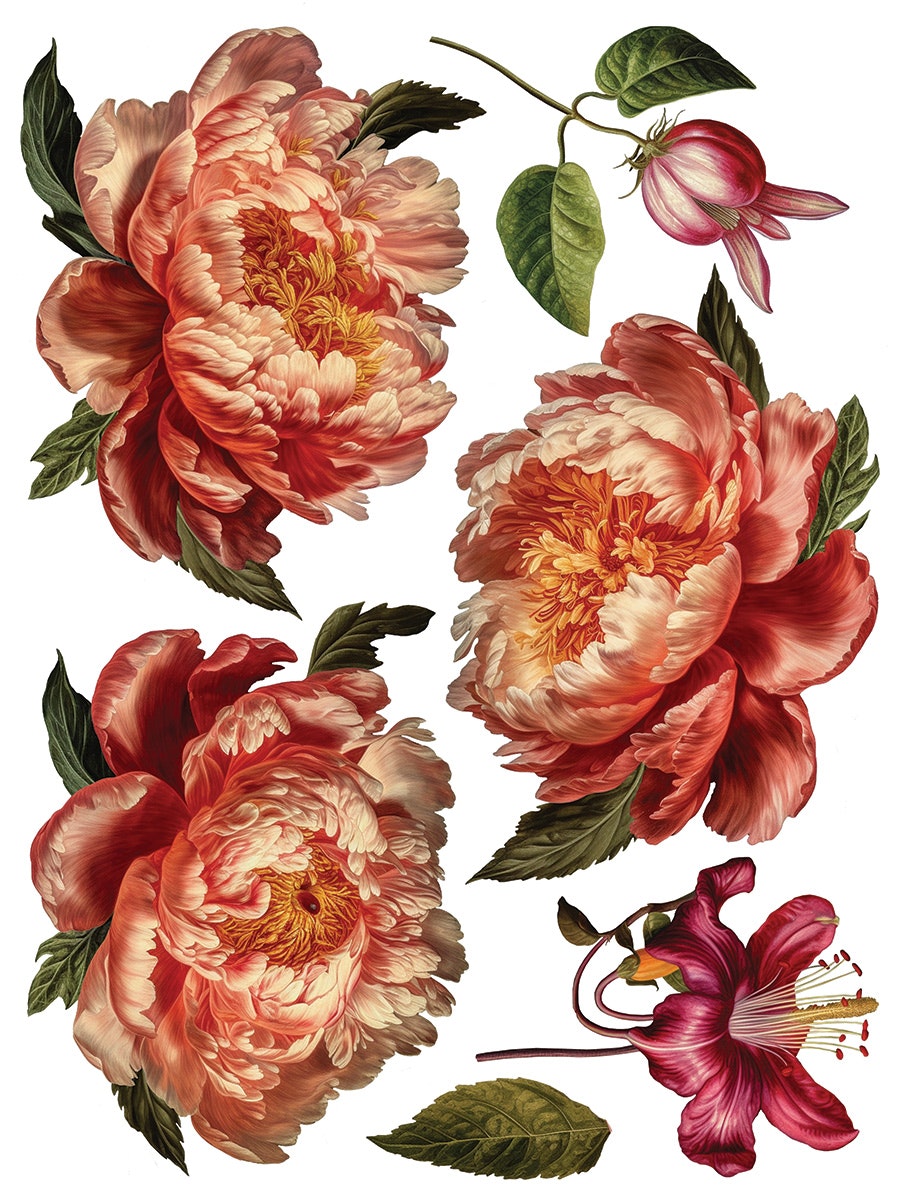 IOD Transfer Collage de fleurs