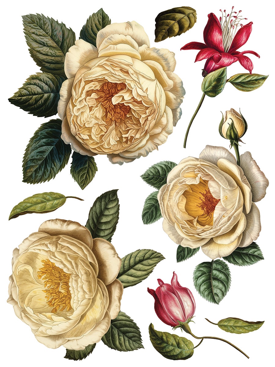 IOD Transfer Collage de fleurs