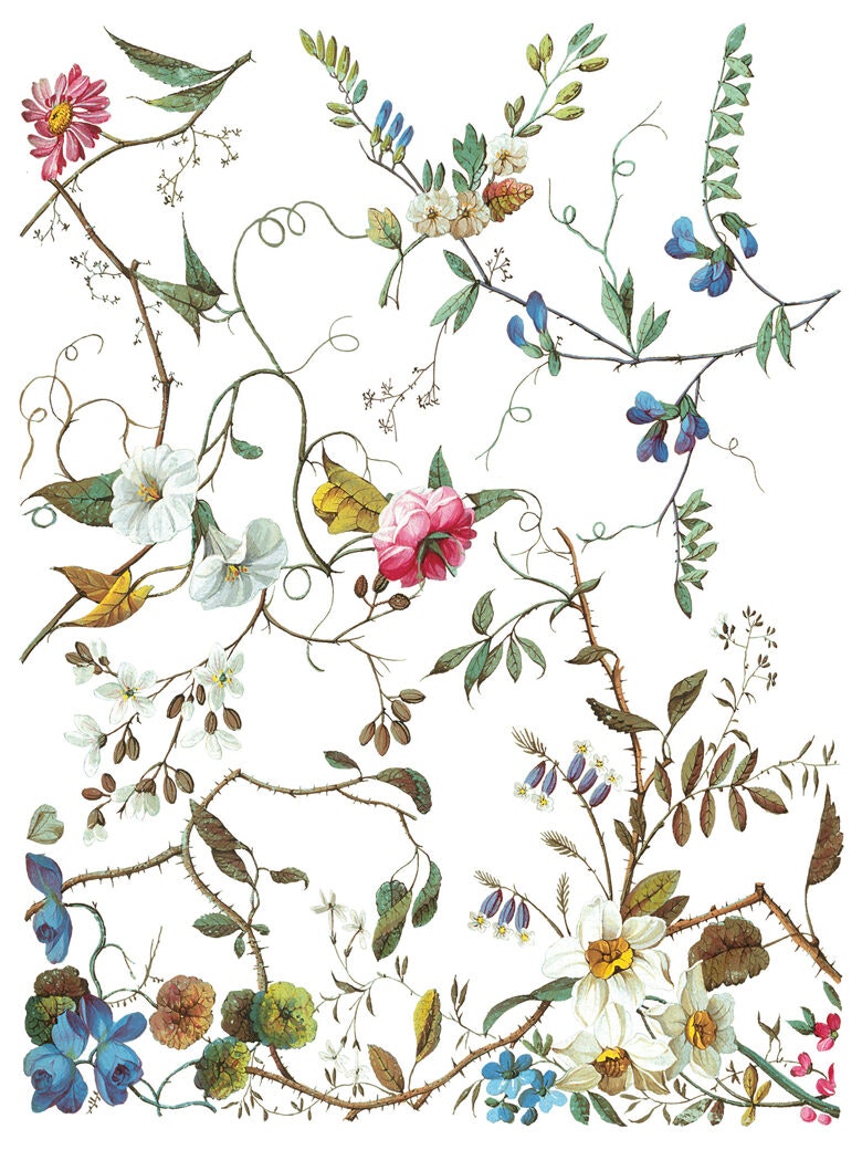 IOD Transfer Lost Garden