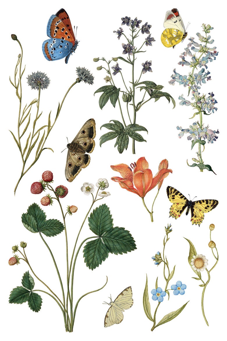 IOD Transfer Wild Bloemen