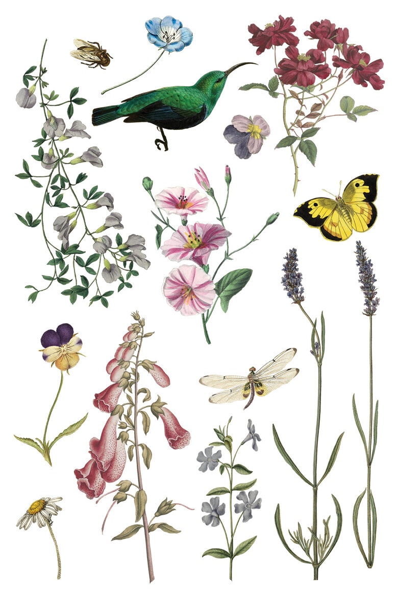 IOD Transfer Wild Bloemen