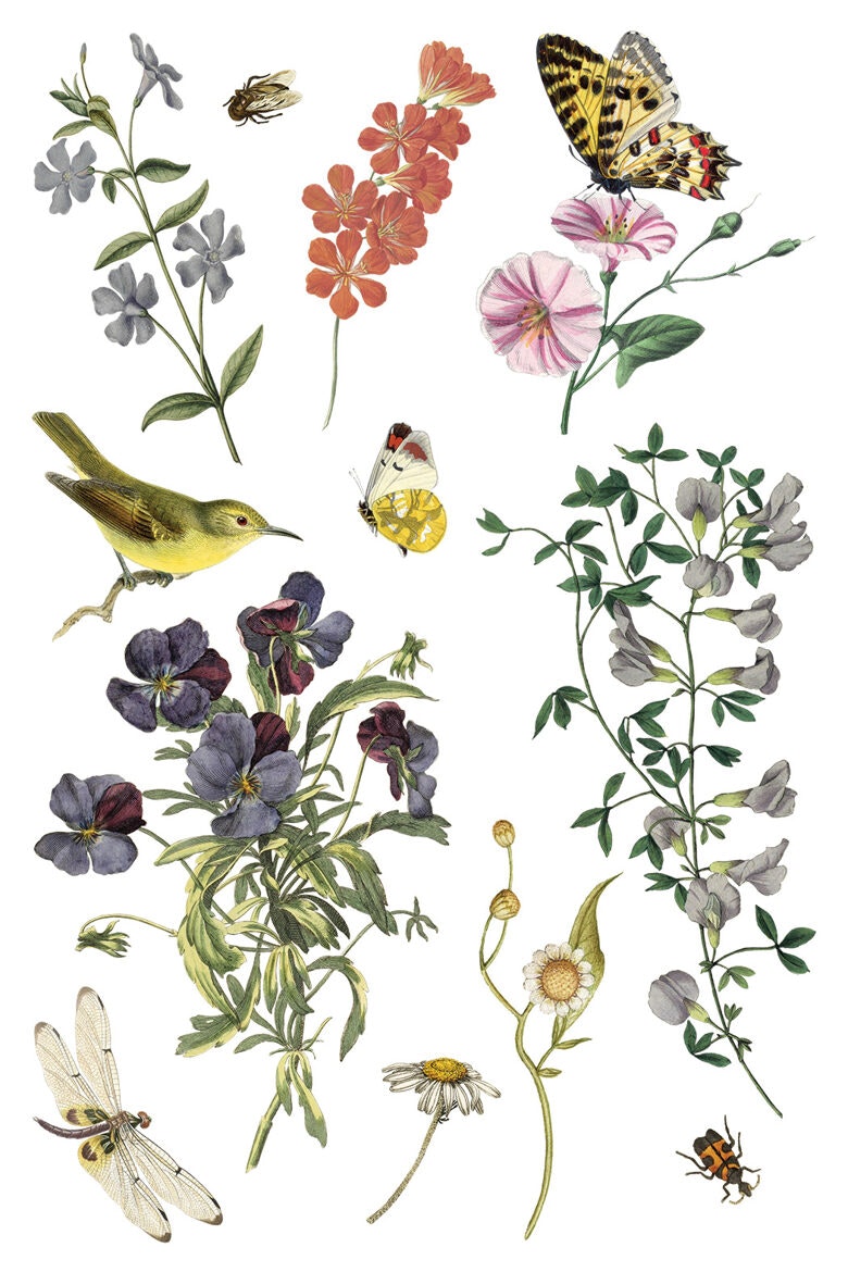 IOD Transfer Wild Bloemen