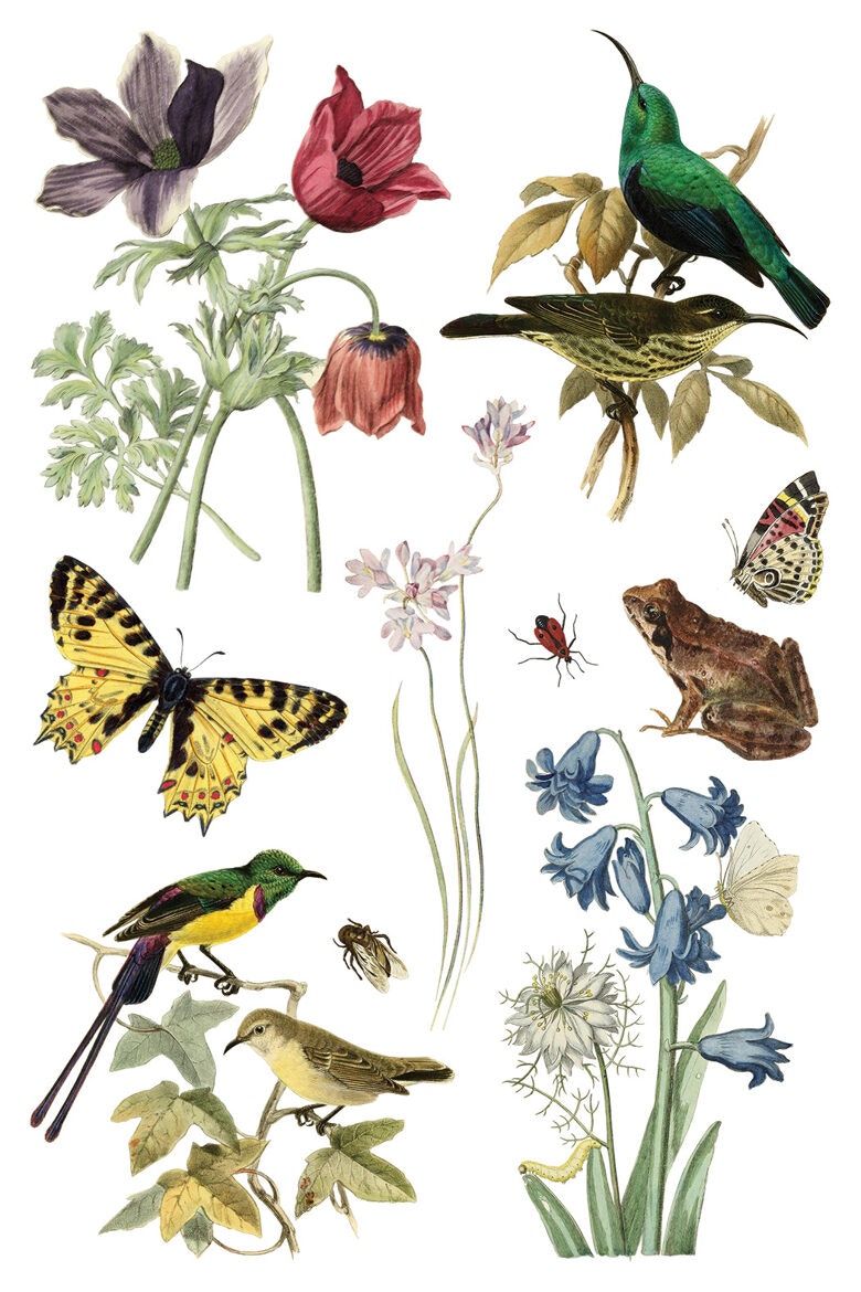 IOD Transfer Wild Bloemen